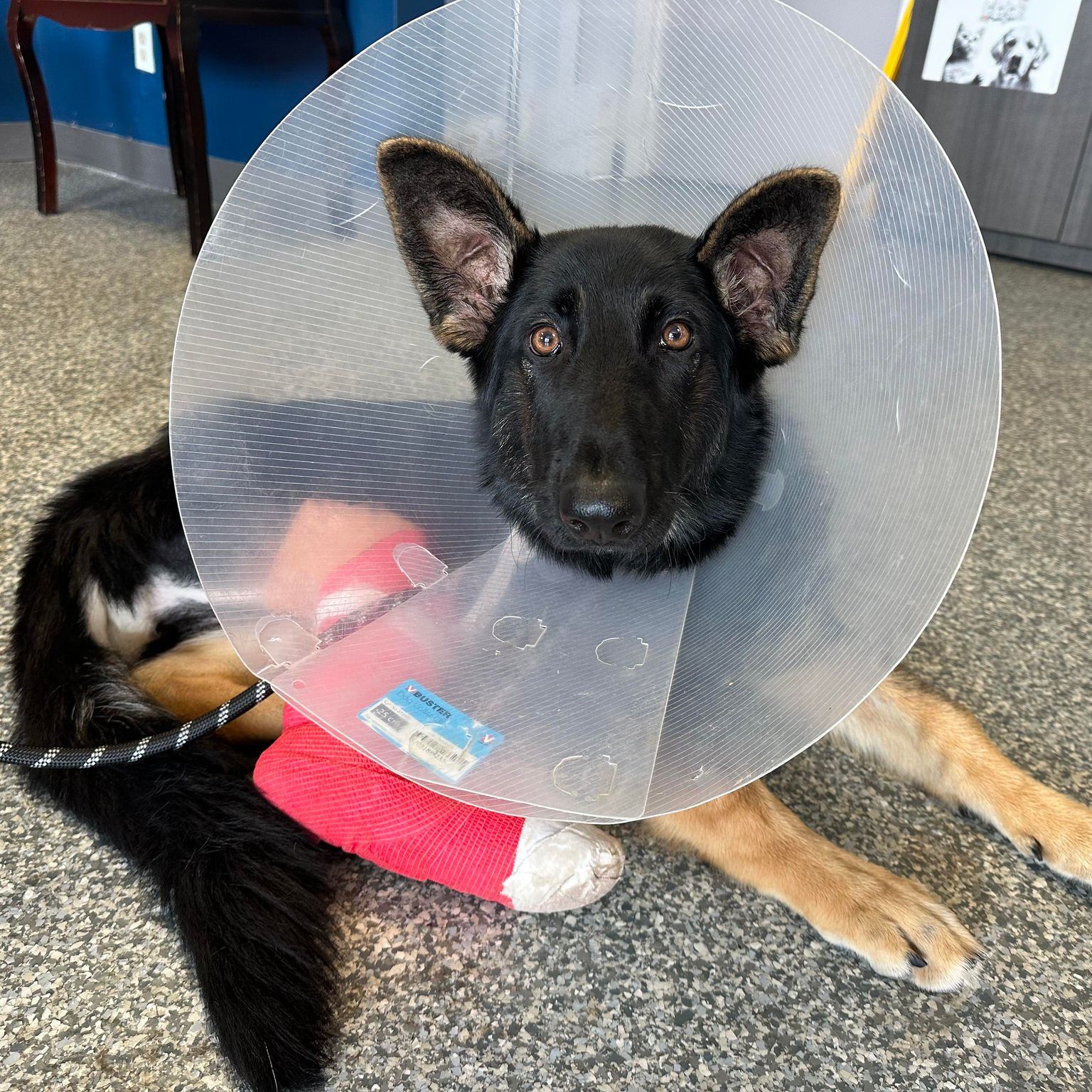 Loved At Home Main Page