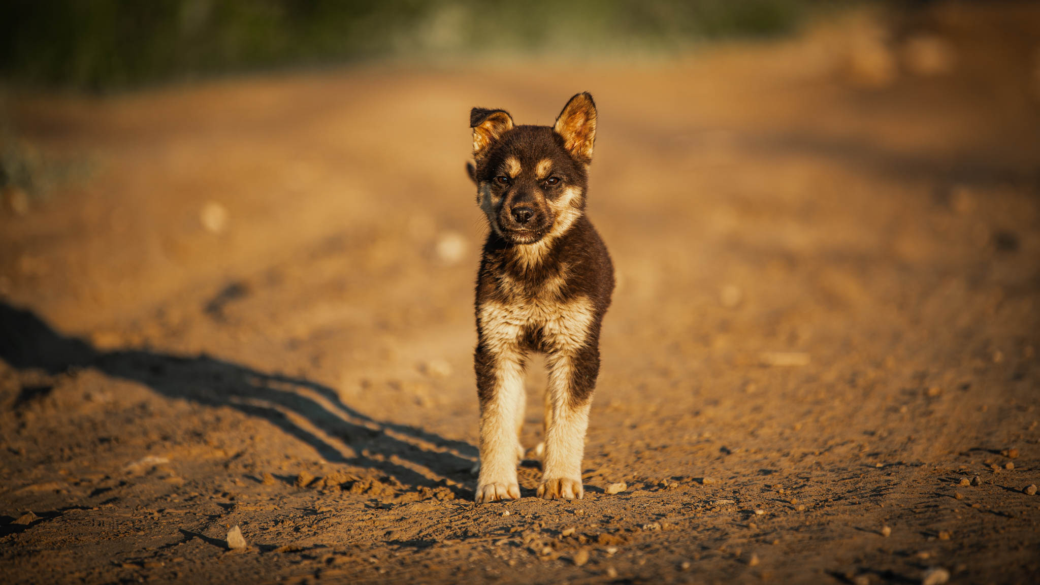 Support for remote communities page3 (1)