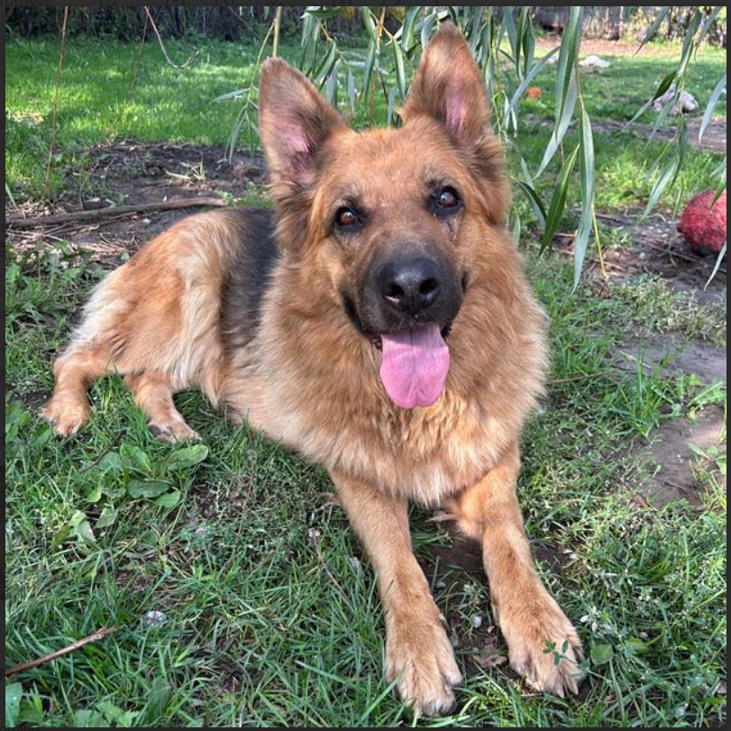 Screenshot 2025-10-15 145655