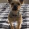 Charlie
