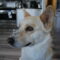 Lucy
