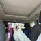 Potato