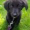 Peggy (now Ruby)