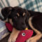 Birdie (now Winnie)
