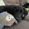 Rocky (now Jett)