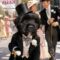 Fred Astaire